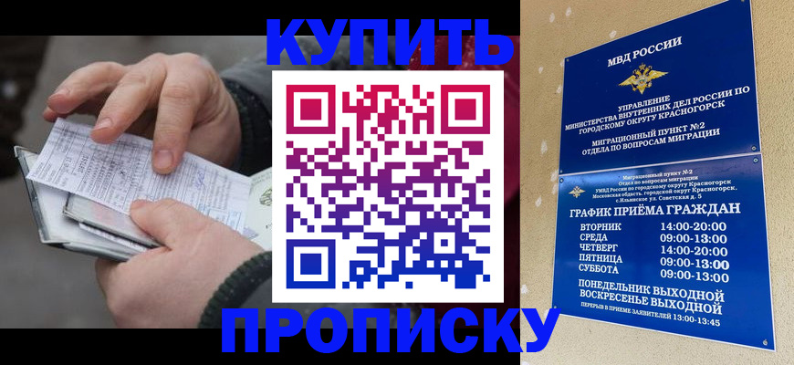 временная регистрация недорого в Североморске